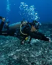 P9261563.webp