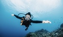 Discover Scuba Diving
