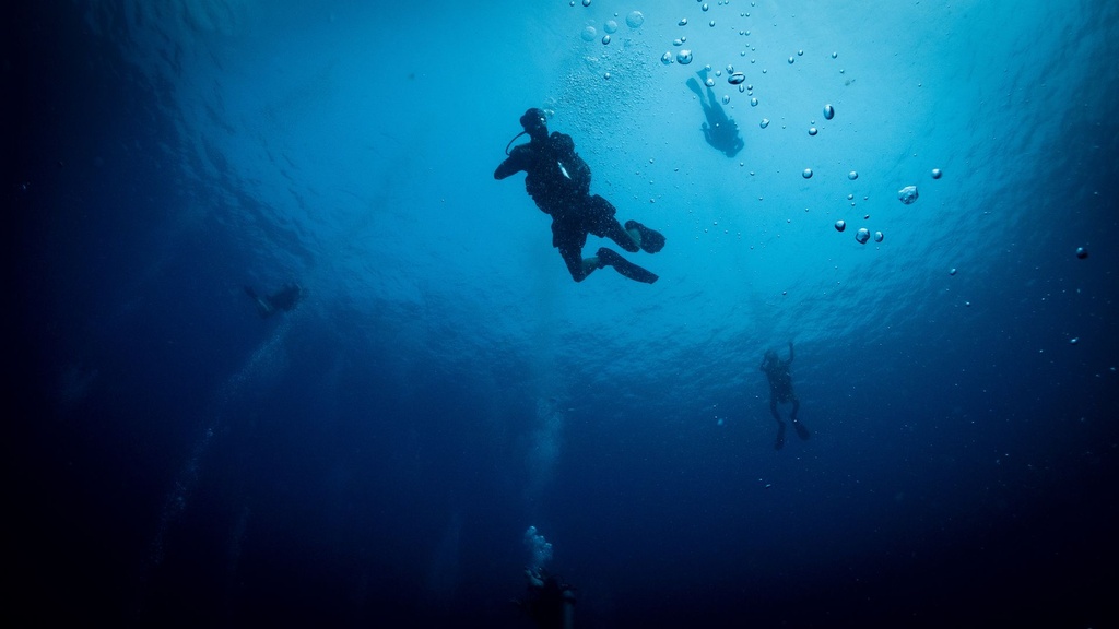 Deep Diver Specialty