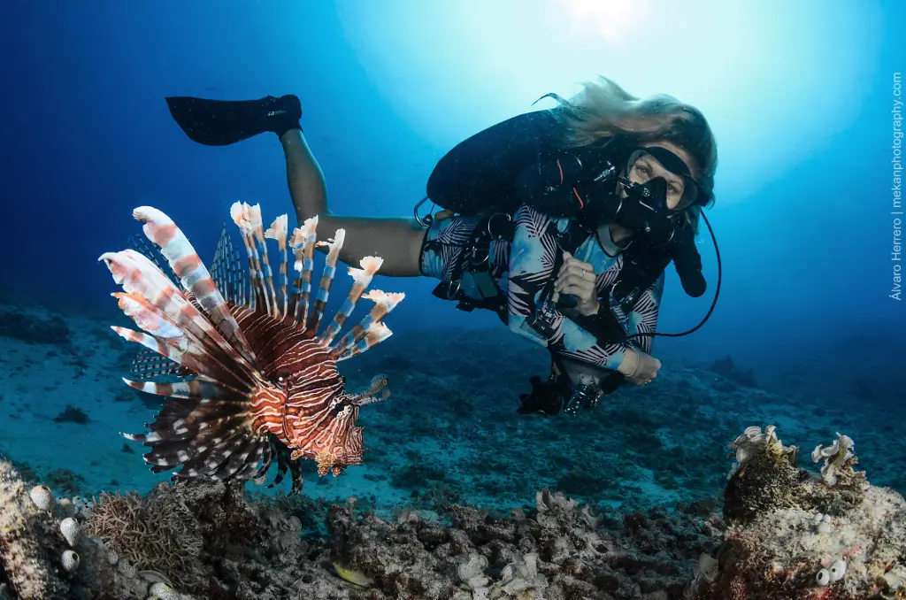 Recreational Rebreather Dives