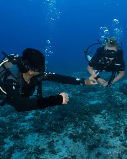 [PPB] Peak Performance Buoyancy