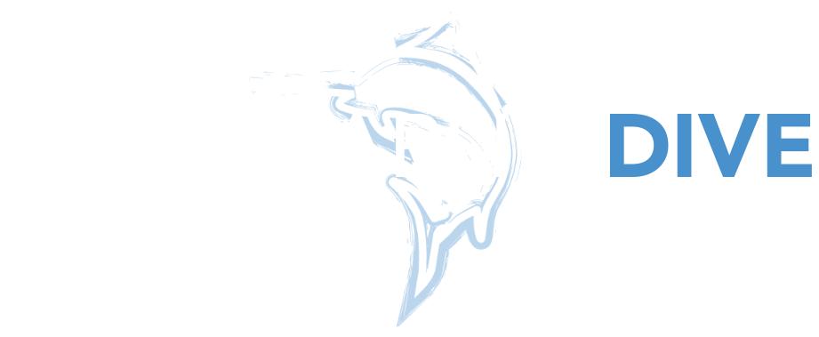 Blue Marlin Dive Gili Trawangan